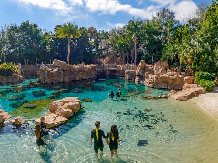 Discovery Cove, parque de experiências com vida marinha em Orlando